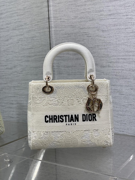 Dior Handbags AAA(Women)-510