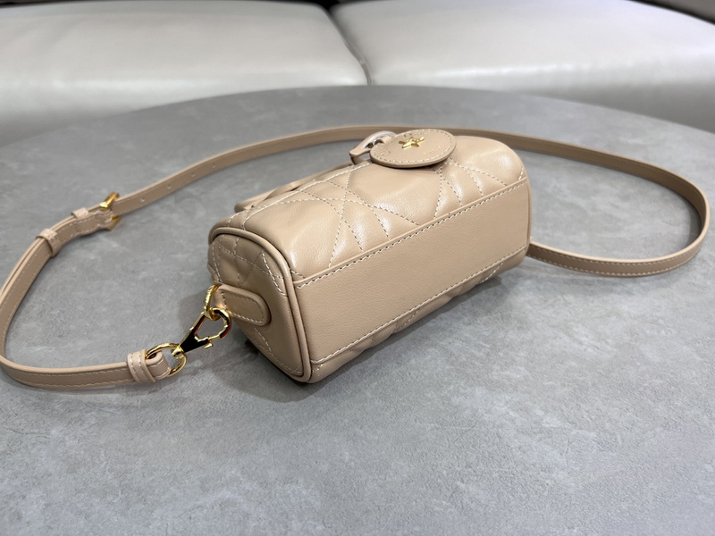 Dior Handbags AAA(Women)-511