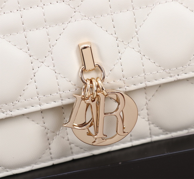 Dior Handbags AAA(Women)-519
