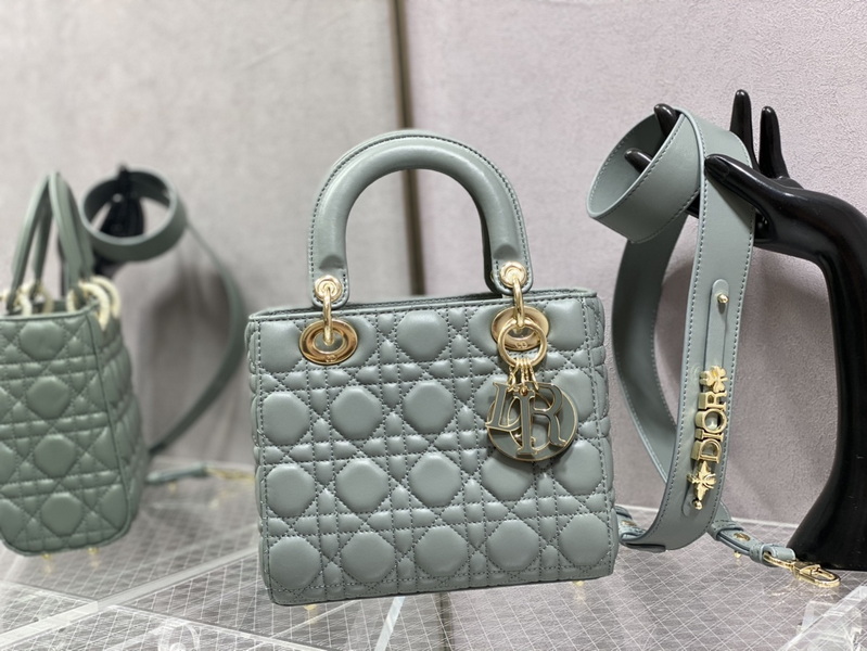 Dior Handbags AAA(Women)-619