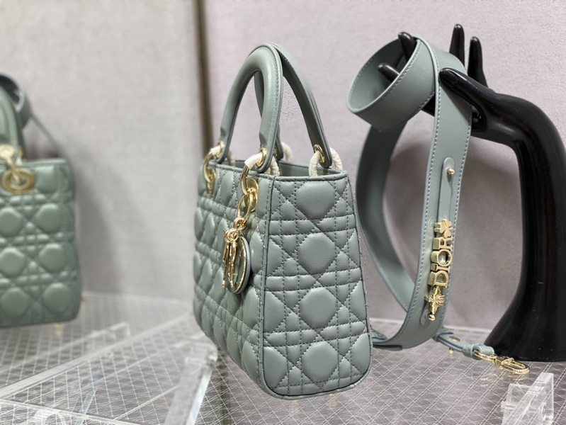 Dior Handbags AAA(Women)-619