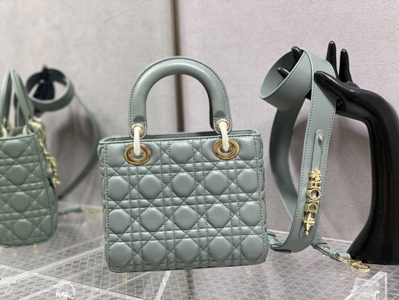 Dior Handbags AAA(Women)-619