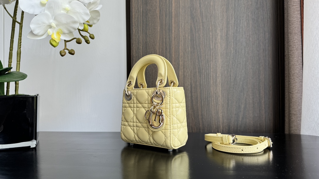 Dior Handbags AAA(Women)-630