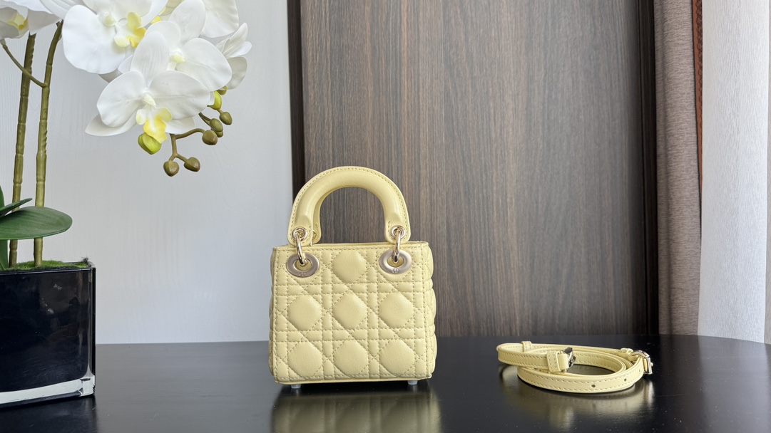 Dior Handbags AAA(Women)-630