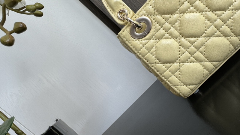 Dior Handbags AAA(Women)-630