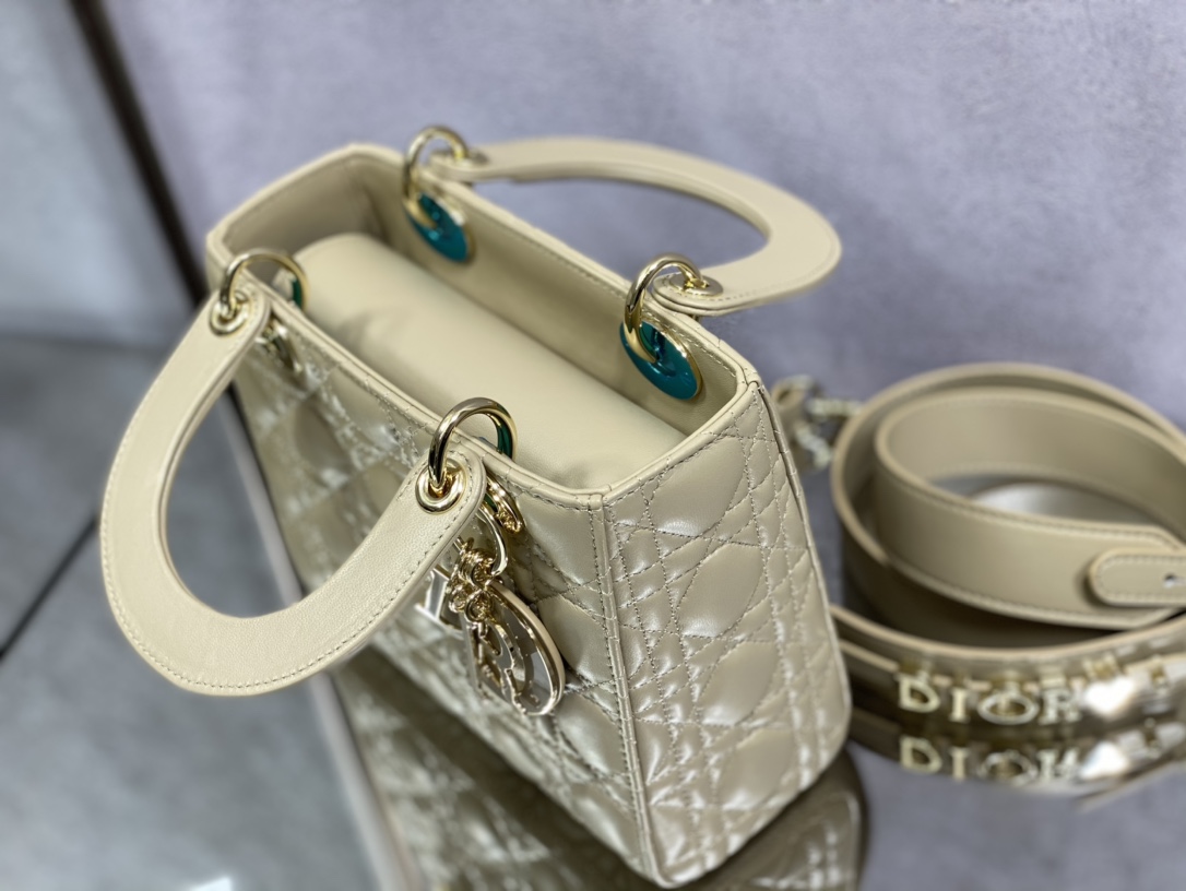 Dior Handbags AAA(Women)-651