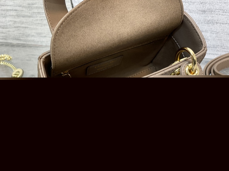 Dior Handbags AAA(Women)-668