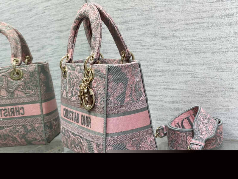 Dior Handbags AAA(Women)-669