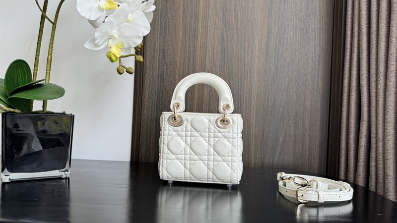 Dior Handbags AAA(Women)-671