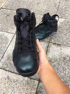 Air Jordan 6 Chameleon