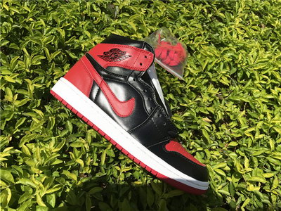 Air jordan 1s Homage To Home