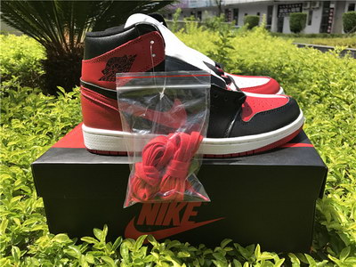 Air jordan 1s Homage To Home